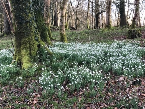 A Proper Cornish Spring Break !