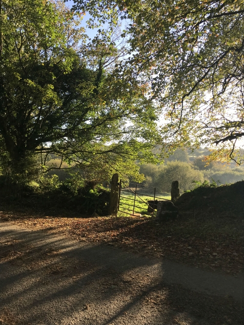 Autumn Walks in Cornwall