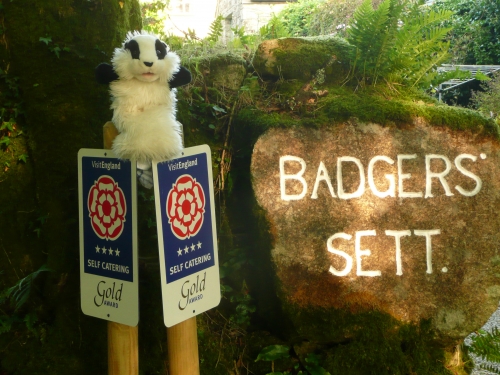 Billy's Summer Adventures at Badgers Sett