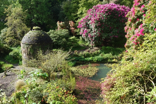 Cotehele House & Gardens