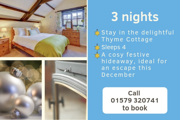 Christmas holidays in Cornwall at Badgers' Sett