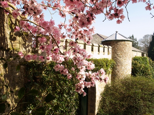 Caerhays Estate & Gardens