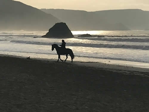 Photo Gallery Image - Out for a stroll on a January day at Widemouth Bay on the north coast