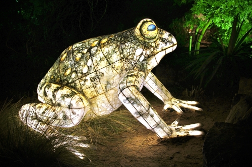 The Heligan Night Garden