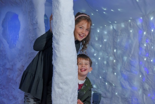 Tunnel of Lights:  Artic Adventure