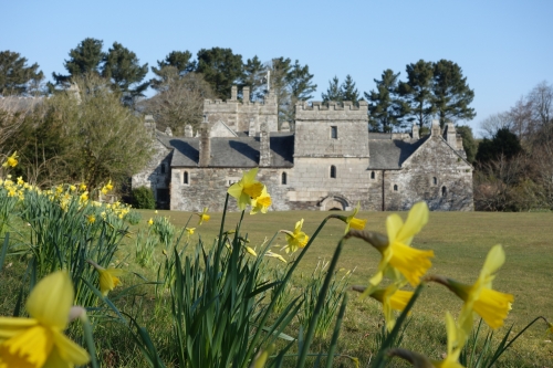 Cotehele House & Gardens